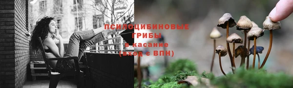 кристаллы Белокуриха
