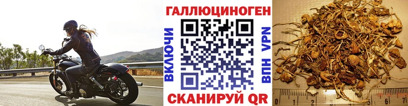 KRAKEN   Гремячинск  Псилоцибиновые грибы прущие грибы  магазин  наркотиков 